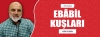 EBÂBİL KUŞLARI