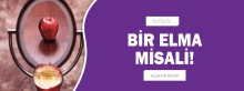 Makale: BİR ELMA MİSALİ!