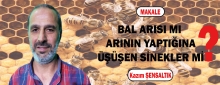 BAL ARISI MI ARININ YAPTIĞINA ÜŞÜŞEN SİNEKLER Mİ?